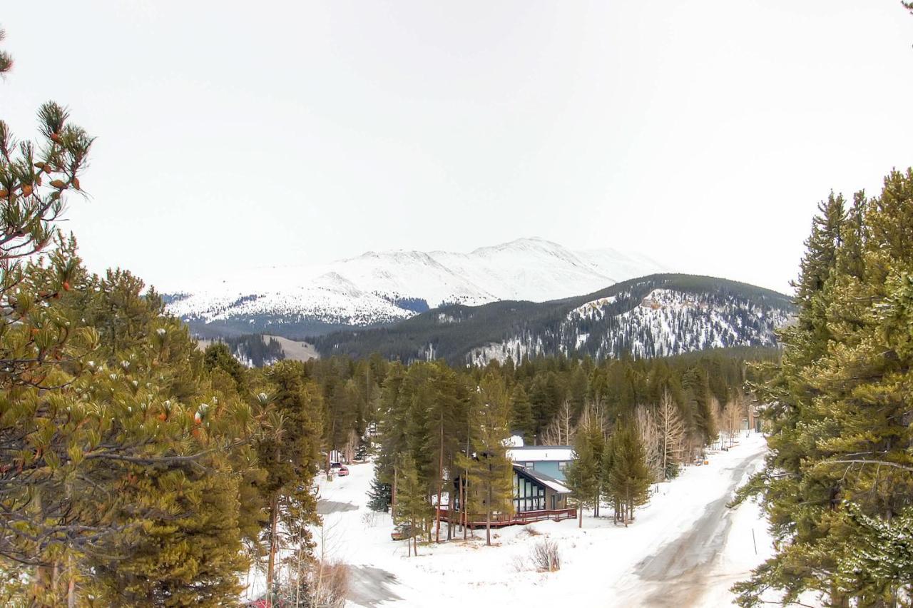 Mark IX #8 - Close To Town - Free Shuttle Breckenridge Exterior foto